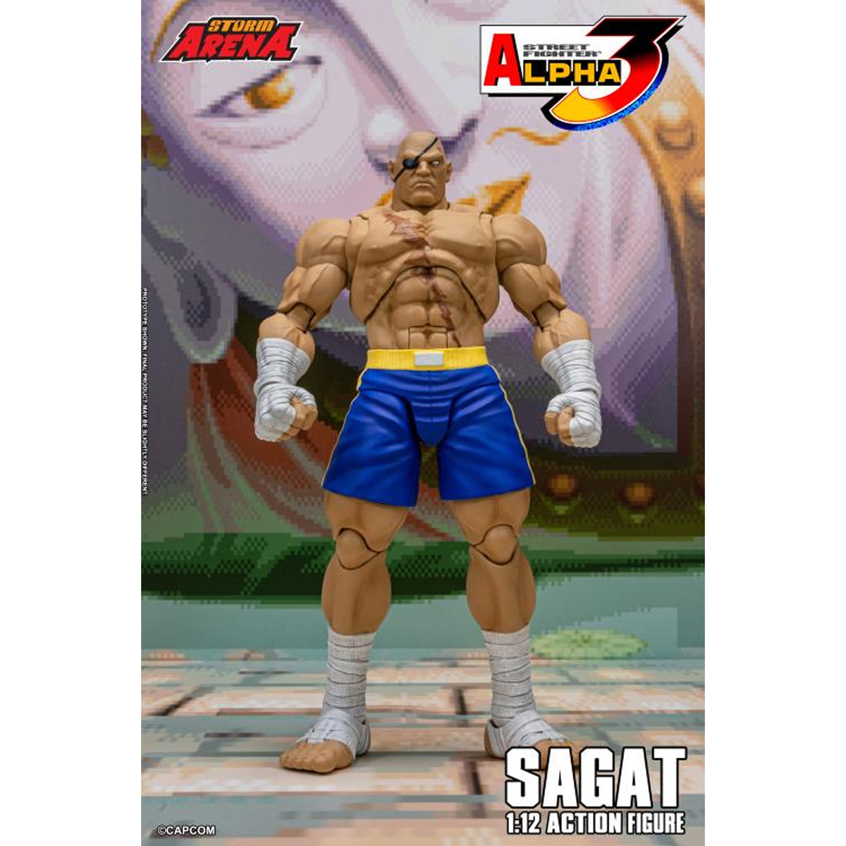 Street Fighter Alpha 3 Storm Arena Sagat LIQUIDACION