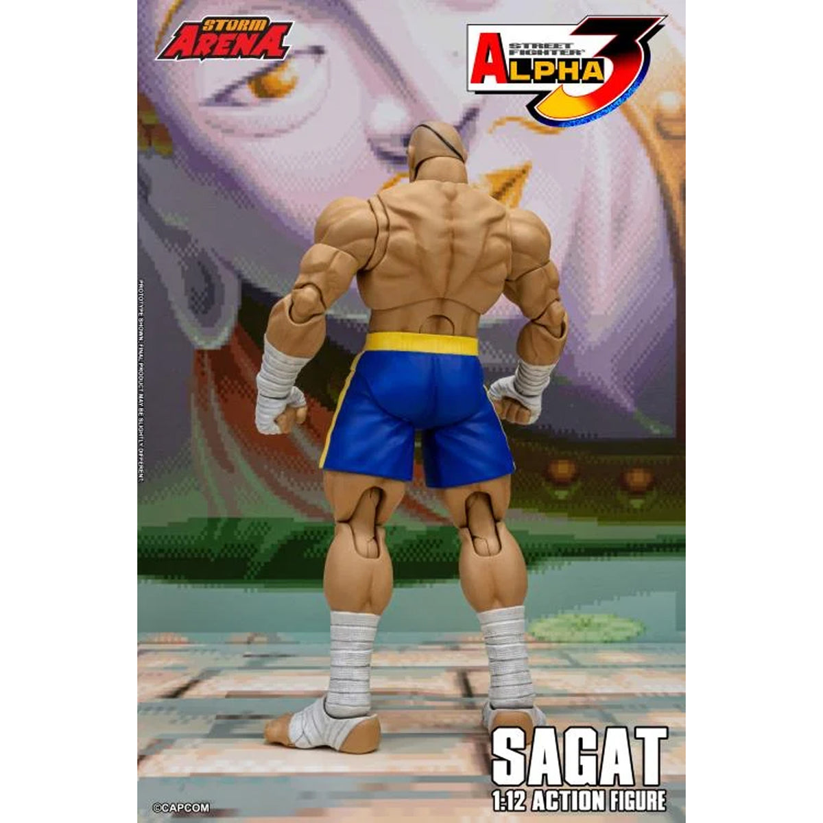 Street Fighter Alpha 3 Storm Arena Sagat LIQUIDACION