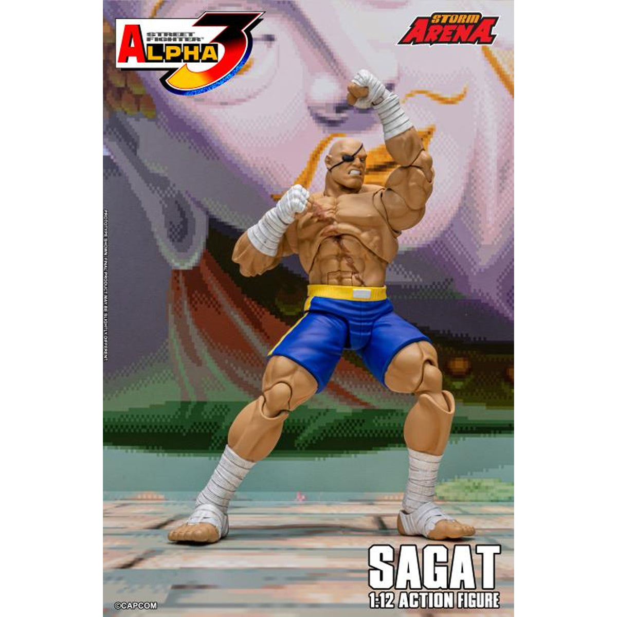 Street Fighter Alpha 3 Storm Arena Sagat LIQUIDACION